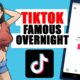 TikTok Celebrity Overnight